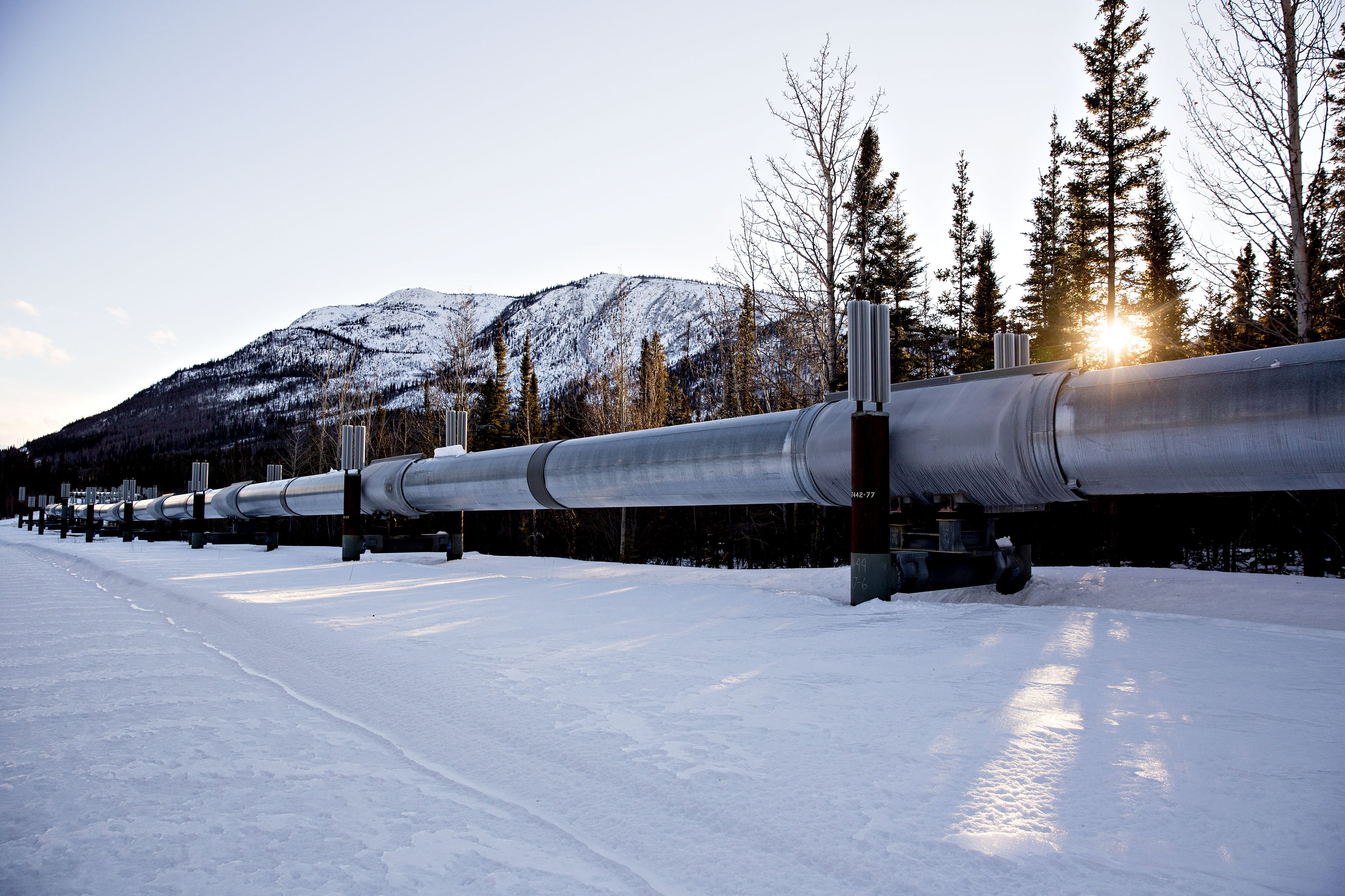 The Trans-Alaska Pipeline System near Copperville, Alaska. Bloomberg