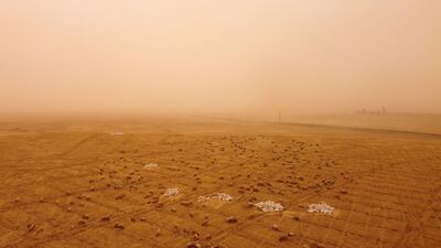 Imports have continued since Russia's February invasion of Ukraine but the war in Kyiv has sparked fears of a supply crisis as wheat fields shrivel.