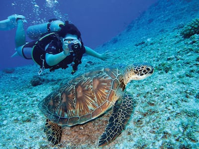 A turtle safari, traditional Maldivian fishing and coral garden snorkelling are all available. Photo: Huvafen Fushi