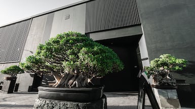 Located in an Al Quoz warehouse, Bocasu is tricky to find on first visits. Photo: Bocasu