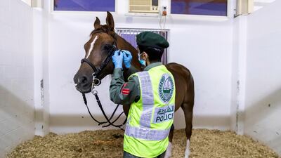An officer fastens the reins of his steed. Reem Mohammed / The National
