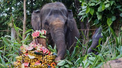 Nurhayati and Kama enjoy fruits at Bali Zoo. AP