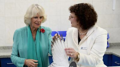 Camilla is shown a sedated falcon at the Abu Dhabi Falcon Hospital. Chris Jackson/Getty Images