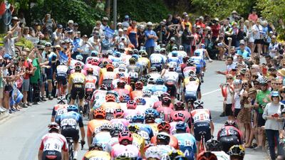 The peloton rides through Stirling during Stage 2 of the Tour Down Under, on Wednesday, January 22. AFP
