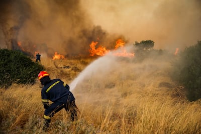 Firefighters work to extinguish a wildfire raging since four days in the Megara Region, west of Athens on August 3, 2026. AFP