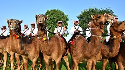 Police mounted on camels outside the stadium. EPA