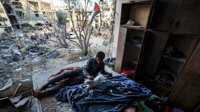 A Palestinian pets a cat in a building heavily damaged during last month's Israeli air strikes in Beit Hanun in northern Gaza. AFP