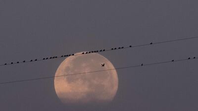The supermoon is seen next to electric lines near Yangon. Ye Aung Thu / AFP