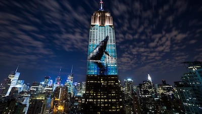 A humpback whale breaches on the side of the Empire State Building as projected in Racing Extinction. Courtesy Oceanic Preservation Society