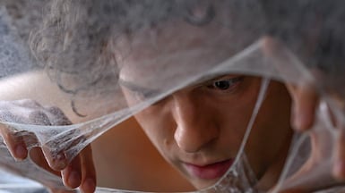 Tom Holland in Spider-Man: Brand New Day. Photo: Columbia Pictures