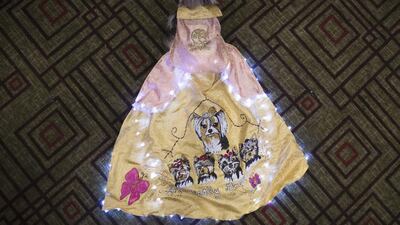 A cape adorned with twinkle lights is worn by a dog at the 2014 New York Pet Fashion Show. Eric Thayer / Reuters