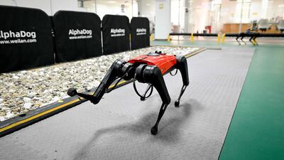An AlphaDog quadruped robot can move at a speed of almost 15 kilometres per hour. Wang Zhao / AFP