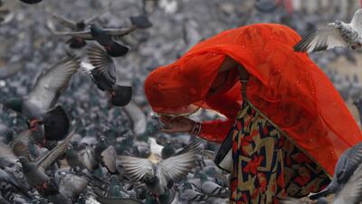A Hindu woman offers prayers after feeding pigeons in Hyderabad, India. AP