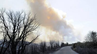 Firefighting planes hired from the European Union have been in action since early Thursday.