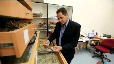 Dr El Keblawy says Abu Dhabi and Al Ain are the two cities using the most native species.