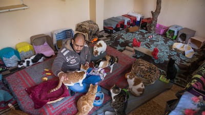 Ashraf Saber, who had been working in the animal welfare field for 15 years, decided to open the pets motel in 2018, after the shelter of the Society for the Protection of Animal Rights in Egypt was closed. EPA