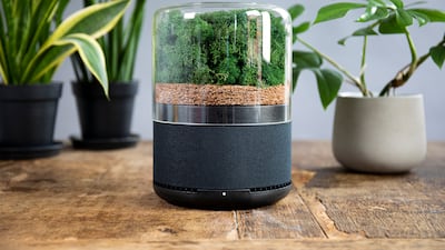 Briiv consists of three fully biodegradable filters that utilise the natural micro-structures of moss, coconut, carbon and silk to filter air. Photo: Briiv