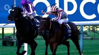 Cirrus Des Aigles, right, is expected to run at Meydan next month, but not in the Dubai World Cup race.
