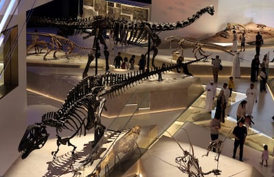 Dinosaurs on display at the newly opened Natural History Museum on Abu Dhabi's Saadiyat Island. EPA