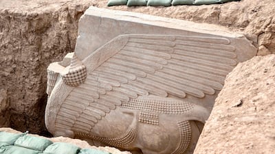 The unearthed Assyrian lamassu sculpture discovered at the archaeological site of Khorsabad in Iraq's northern Nineveh province. AFP
