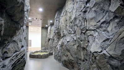The gallery has been designed to mimic the natural world.