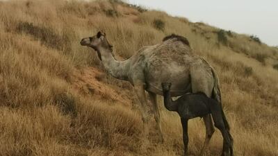 Lulu was born on May 9