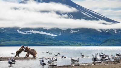 Episode 1, Volcano: Kurile Lake, a caldera and crater lake in Russia, is considered to be one of the world’s greatest natural feasts, provided by the fertilising ash that formed from the volcanic eruptions. Photo: Toby Nowlan