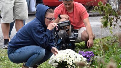 A woman kneels after placing flowers. AP Photo