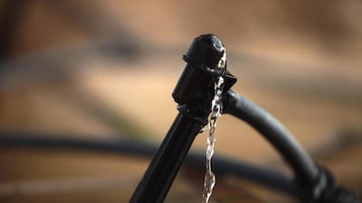 Abu Dhabi lies in one of the world’s most water scarce regions and securing water for an expanding population is one of the key security measures that emirate is taking. Galen Clarke / The National