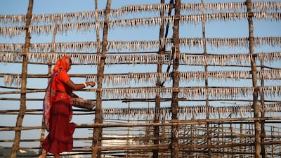 A woman hangs fish to dry on a bamboo pole at a fishing village in Mumbai, India. Reuters
