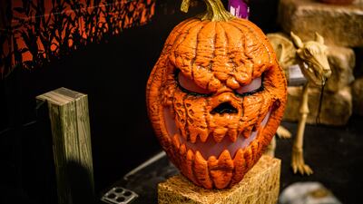 Carve a scary pumpkin at Isola Ristorante Italiano. Photo: Unsplash