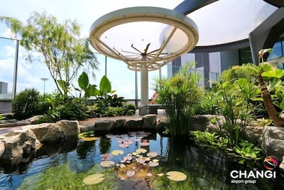 There's no shortage of greenery and outdoor spaces at Singapore Changi Airport. Courtesy Changi Airport