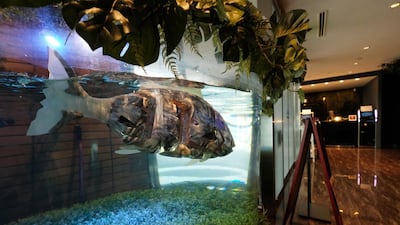 A robot fish swims in a water tank displayed at the entrance of the Henn-na Hotel. AFP