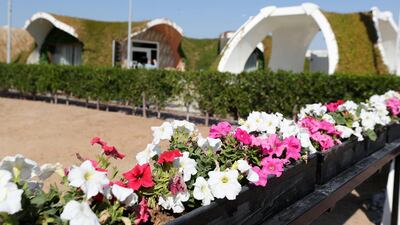 They homes are surrounded by a series of bio-spheres where agriculture is reaping rich rewards, without the chemicals, soil and irrigation of conventional farming.