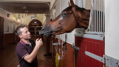 Tadhg O’Shea has been named the UAE champion jockey 11 times. Antonie Robertson / The National