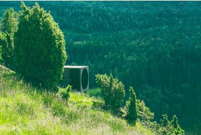 The Birdbox treehouse is in the heart of the forest. Courtesy Airbnb