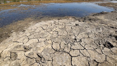 Drying earth in the Chibayesh marshland in Iraq's southern Ahwar area. AFP