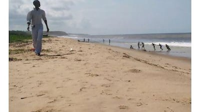 The beach south of Soyo, Angola, where fisherman are lined up to haul in the catch with a net. Scott MacMillan for The National