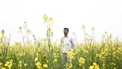 Yudhishtir Sisodia, a protesting farmer, turned down 3 million upees from Reliance Natural Resources for his land.
