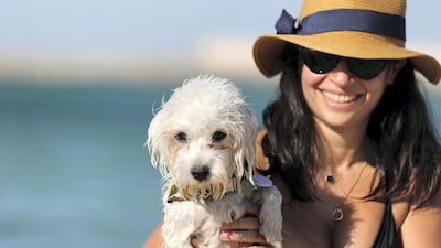 There is the option of staying overnight with pets at the bungalows. Chris Whiteoak / The National