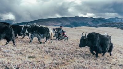 A shot from Xiangyu Long's 'TikTok in Kham'. Photo: Xiangyu Long