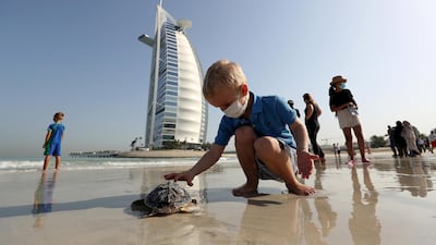 Around 30 turtles released into the sea on World Sea Turtle Day at the Jumeirah Al Naseem beach in Dubai. All pictures by Pawan Singh / The National.