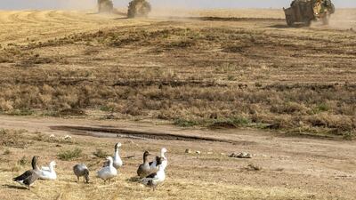Ducks are pictured as Turkish military vehicles patrol in the countryside of Darbasiyah town in Syria's northeastern Hasakeh province on the Syrian-Turkish border on November 1, 2019. AFP