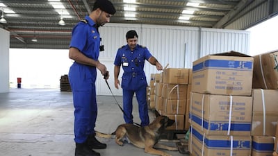 Dubai Customs inspectors using a special canine unit search for drugs in Jebel Ali Port earlier this month. Sarah Dea / The National / Jun 2104