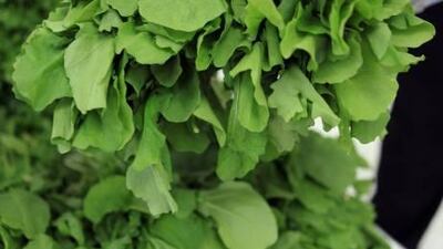 Rocket science: local samples of the salad vegetable have been subjected to laboratory tests for E Coli bacteria and found to be safe.