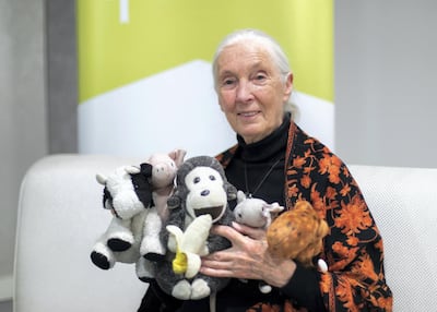 Jane Goodall introduces us to her cuddly travel companions. Reem Mohammed/The National