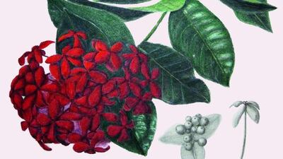 Kathleen Konicek-Moran for The National