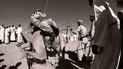 Baqir M Jawad's award-winning photo from the 2008 Emirates Photography Competition.