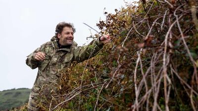 Mr Saunders works to save the rare long-horned bee from extinction, with the help of the Mohamed bin Zayed Species Conservation Fund