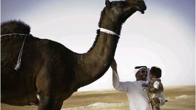Sheikh Diab and his son, Mohammed, with Al Hikmah, his prize-winning camel.
